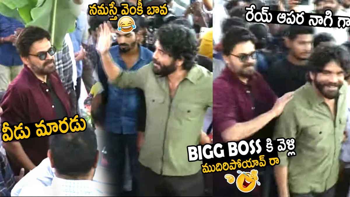 Venkatesh And Nagarjuna fun during naga chaitanya movie 