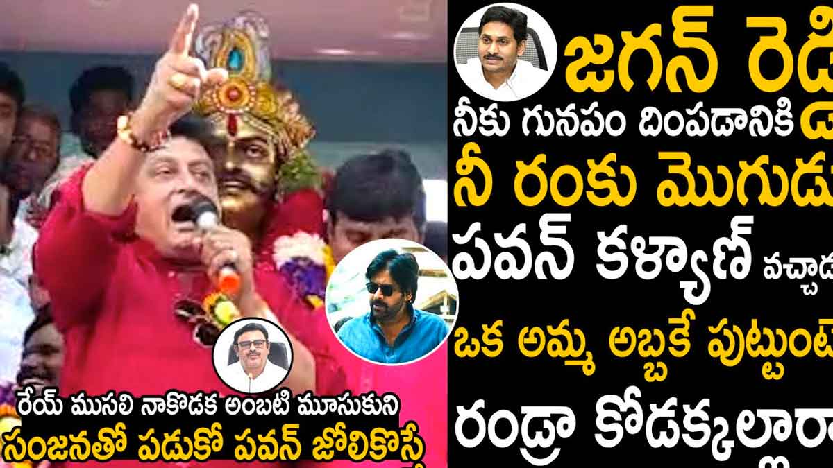 Prudhvi Raj : జగన్ నీకు గట్టిగా దింపే వాడు వస్తున్నాడంటూ పృథ్వీరాజ్ ఫైర్ స్పీచ్ Prudhvi Raj angry speech on cm ys jagan