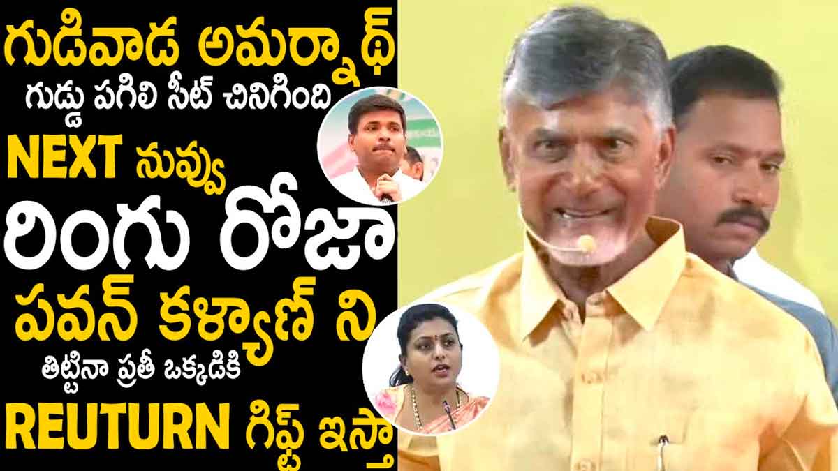 Chandrababu comments on gudivada amarnath