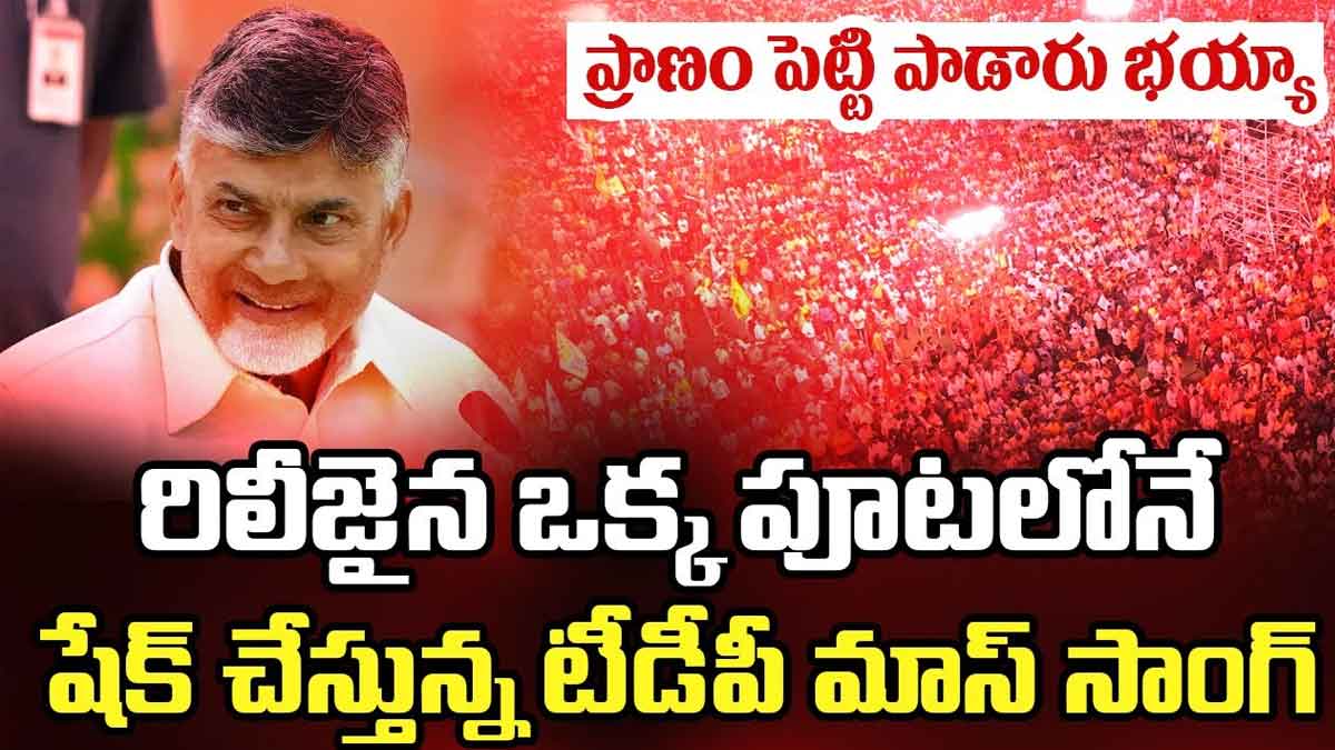 TDP Song viral on social media