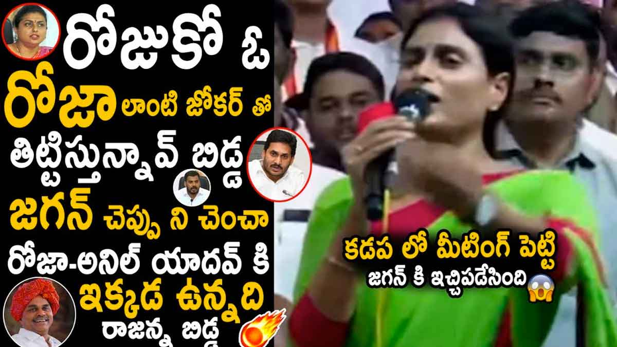 YS Sharmila sensational comments about leaders