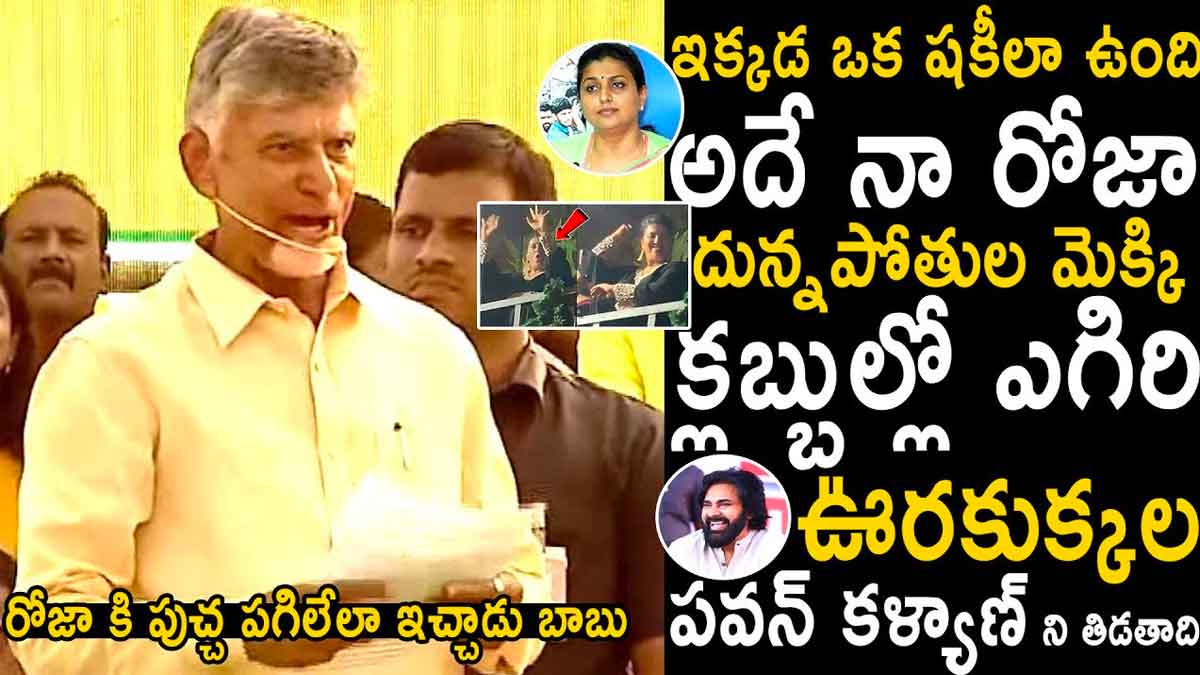 Chandrababu sensational comments on roja