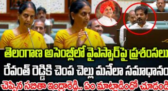 Sabitha Indra Reddy : వైఎస్సార్‌పై ప్ర‌శంస‌లు కురిపిస్తూ సీఎం రేవంత్‌కు గట్టి స‌మాధానం ఇచ్చిన స‌బిత‌.. ఏమ‌న్నారంటే..?