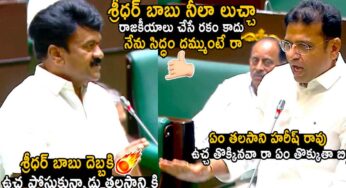 Sridhar Babu : అసెంబ్లీలో త‌ల‌సాని వ‌ర్సెస్ శ్రీధ‌ర్ బాబు.. బీఆర్ఎస్ నాయ‌కుల‌కి చెమ‌ట‌లు ప‌ట్టించారుగా..!