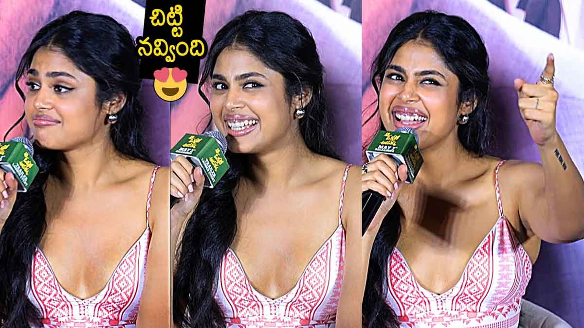 Faria Abdullah funny speech in aa okkati adakku film trailer launch