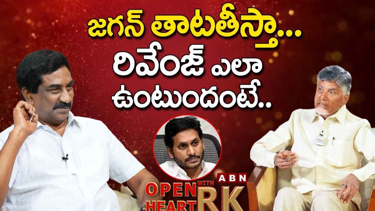 CM Chandra Babu commets on ys jagan about his plan