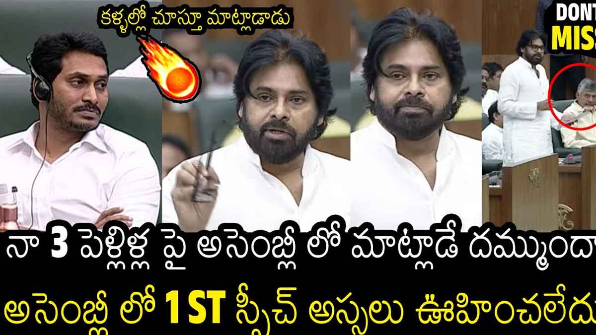 Pawan Kalyan speech in assembly everyone got attracted 