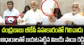 Vijaya Sai Reddy : బీజేపీ స‌హ‌కారంతోనే చంద్ర‌బాబు గెలిచాడంటూ విజ‌య‌సాయిరెడ్డి ఆస‌క్తిక‌ర వ్యాఖ్య‌లు