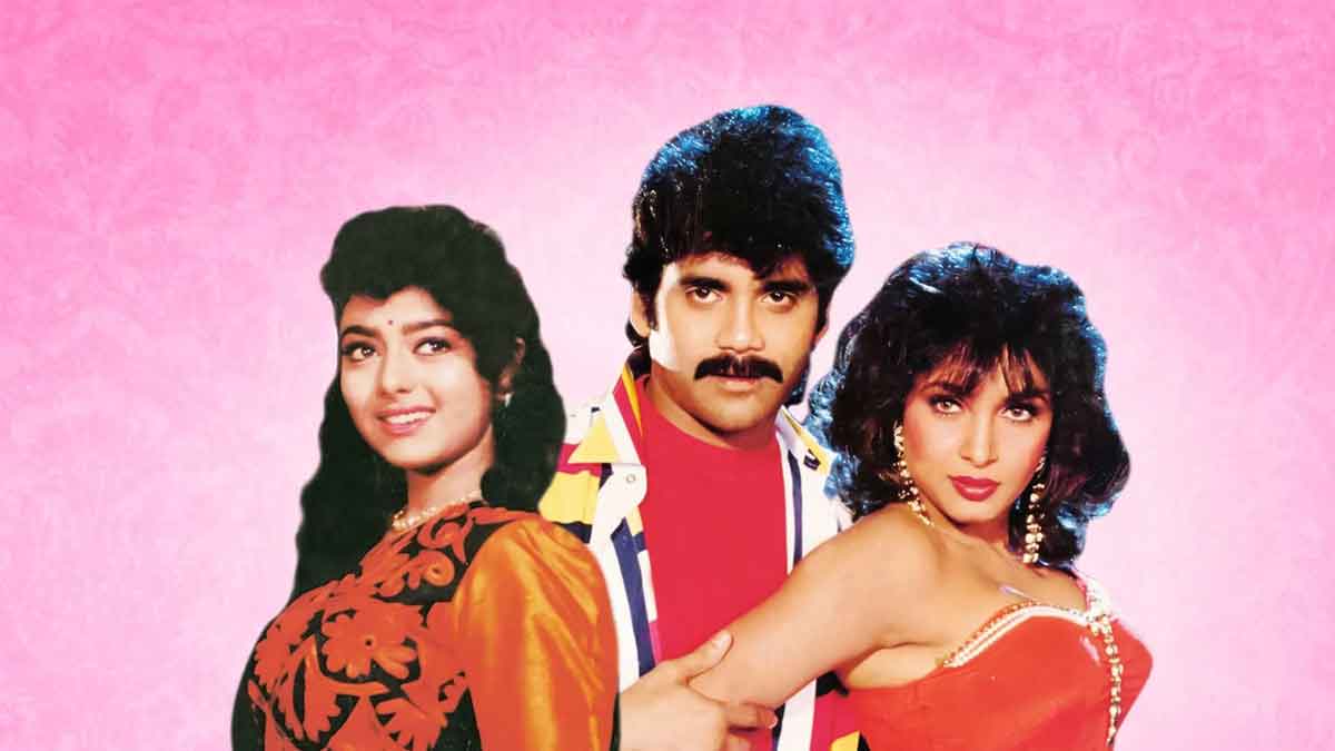 Hello Brother Movie : హలో బ్రదర్ సినిమాకి అంతటి రికార్డ్ ఉందా.. ఏ హీరో బీట్ చేయలేకపోయాడా..! do you know about the records set by Hello Brother Movie