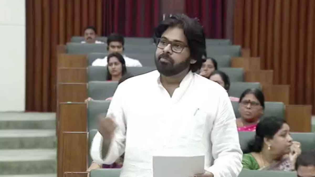 Pawan Kalyan important speech in assembly what he said