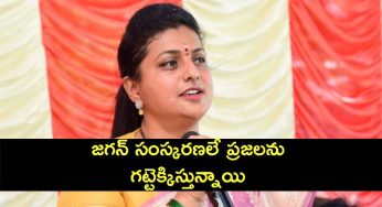 RK Roja : మ‌ళ్లీ యాక్టివ్ అయిన రోజా.. జ‌గ‌న్ సంస్క‌ర‌ణ‌లే గ‌ట్టెక్కిస్తాయంటూ కామెంట్..