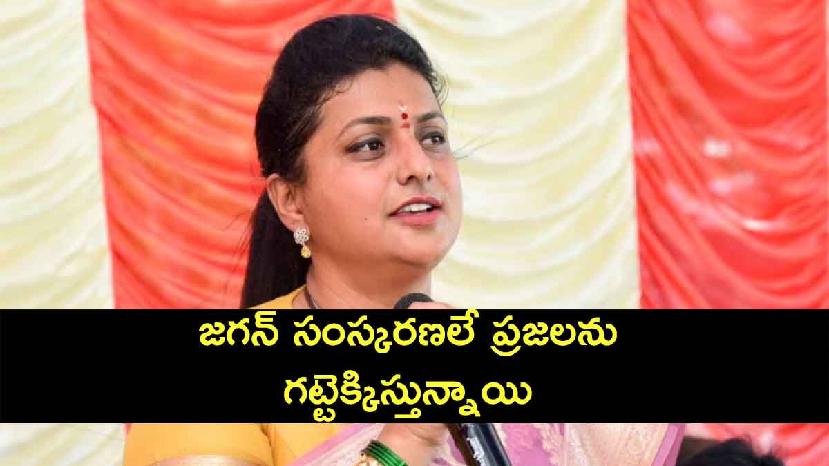 RK Roja comments on cm ys jagan about his development works 